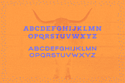 MWM Tequila Font Duo, a Font by mikewillsmakes (Thumbnail 7 of 7)