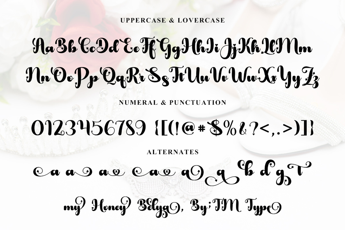 My Honey Belya, a Script Font by TM Type (Photo 10 of 10)