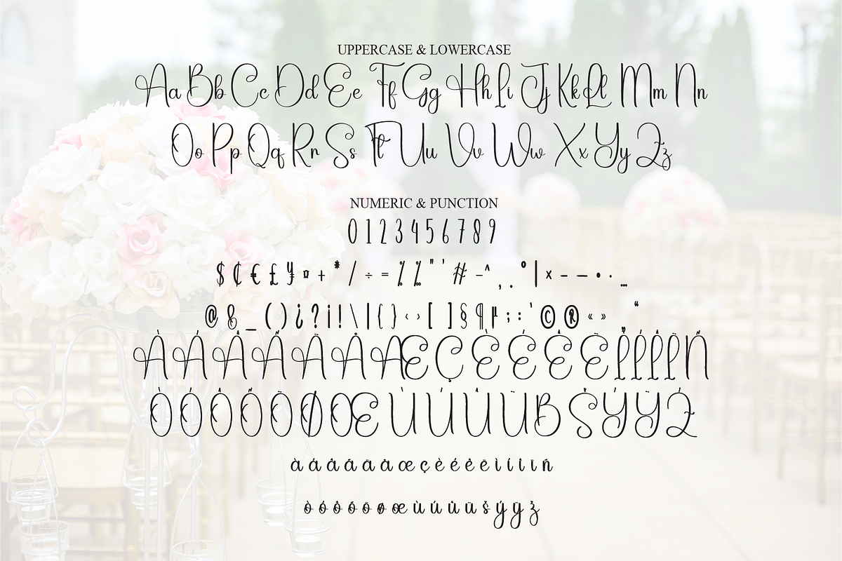 Wedding | Script Font, a Handwritten Font by Scratchones (Photo 7 of 9)