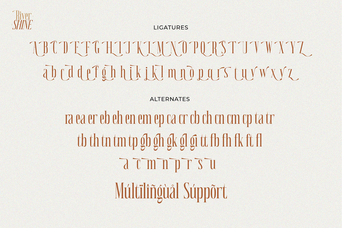 River Shine, a Serif Font by ToniStudio (Photo 15 of 15)