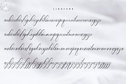 Lucianda Script, a Script Font by Nowlystudios (Thumbnail 7 of 8)