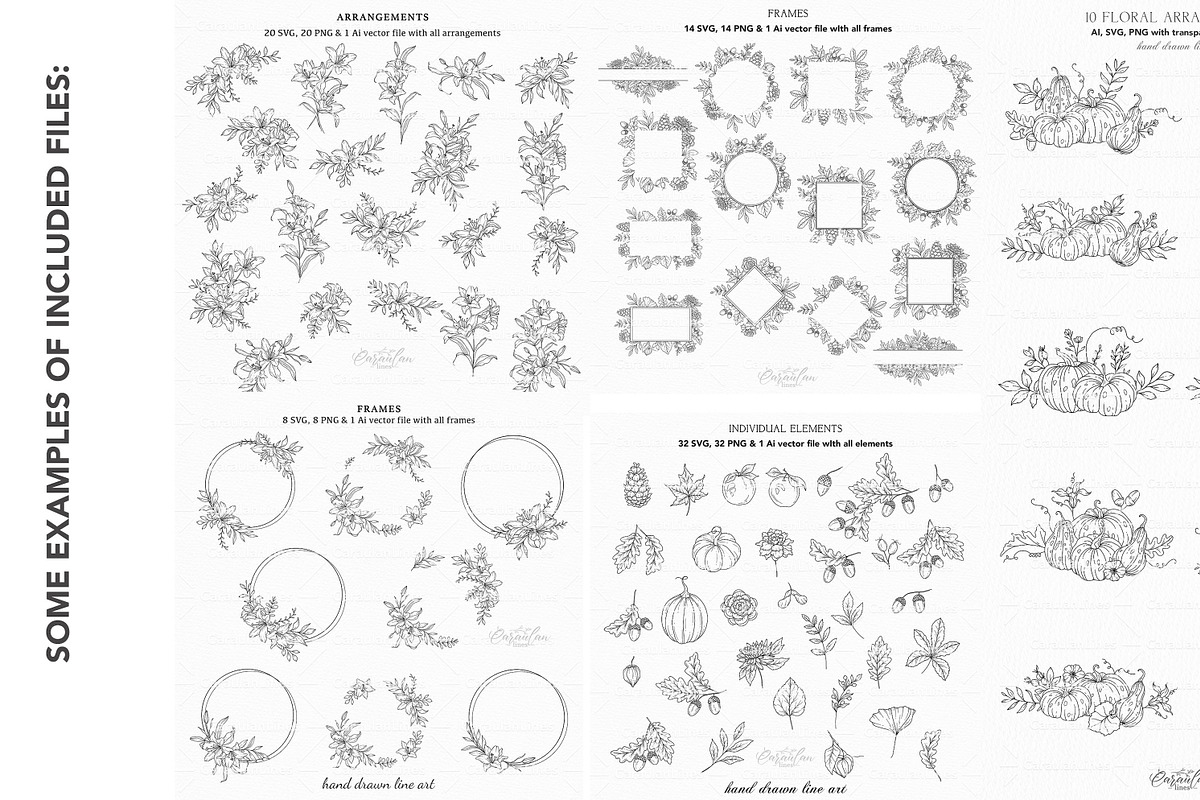 Floral Line Art Bundle 700+, an Illustration by CaraulanStore (Photo 4 of 7)