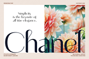 Lovan, a Sans Serif Font by Sign Studio (Thumbnail 3 of 10)