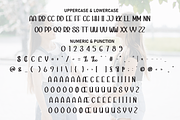 Hello Sister | Script Font, a Script Font by Scratchones (Thumbnail 7 of 8)