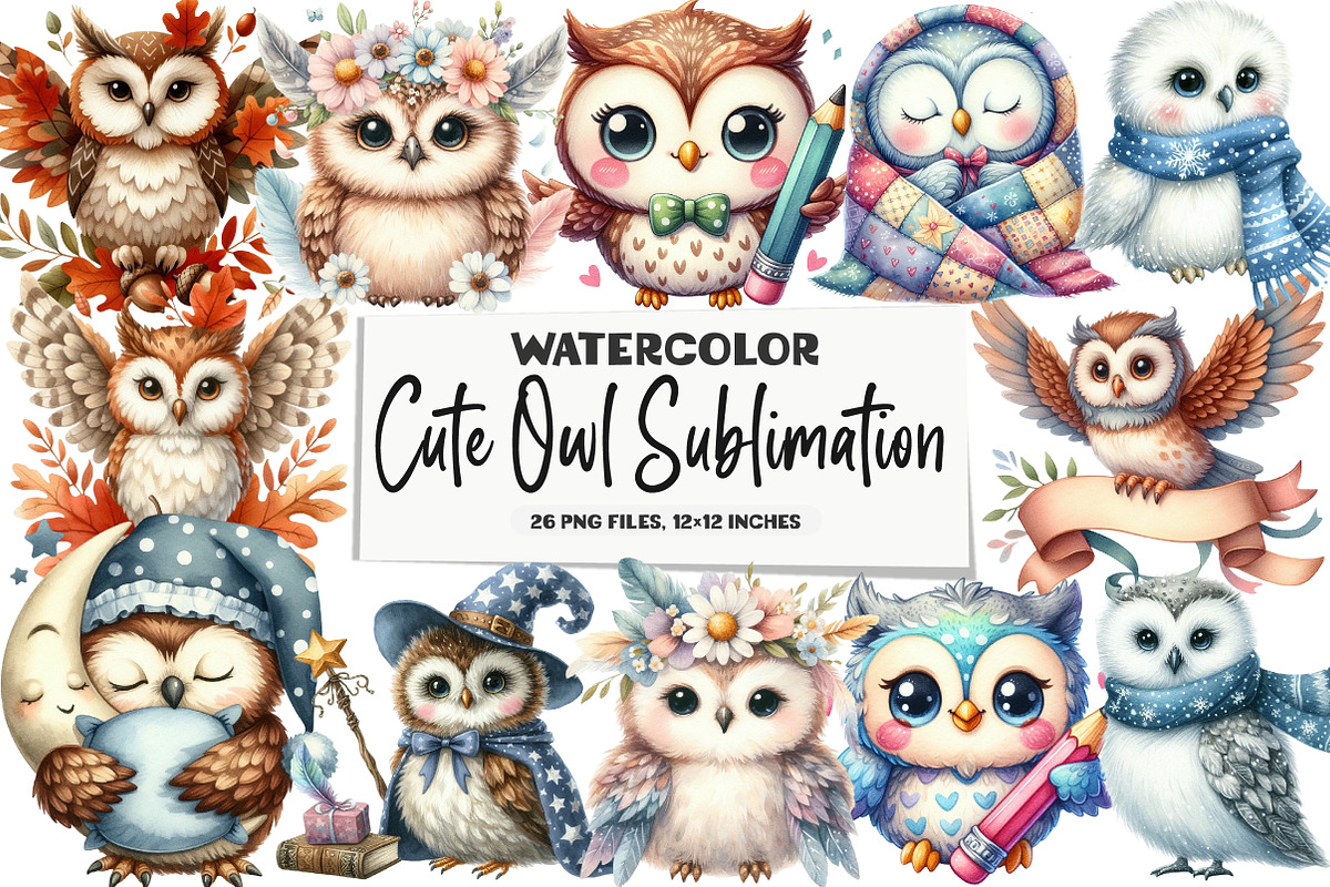 Cute Owl Sublimation, an Illustration by DreamArtGraphic (Photo 1 of 5)