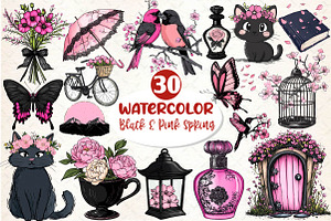 Black & Pink Spring Clipart, an Illustration by Dream Creation