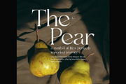 Fagon Modern Serif Font, a Serif Font by Perfectype (Thumbnail 4 of 8)