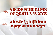 Daglin, a Serif Font by zaaintype (Thumbnail 5 of 10)