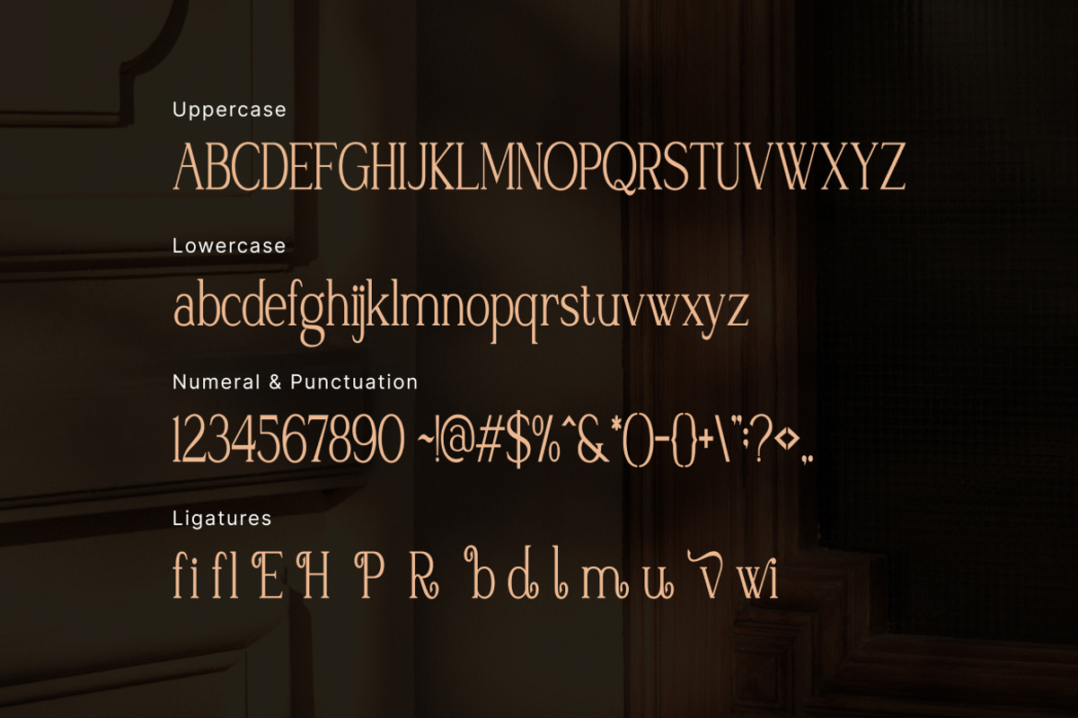 Rosemeu – Modern Aesthetic Serif, a Serif Font by Vadovastd (Photo 7 of 7)