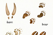 Watercolor Forest Animals Clipart, a Graphic by svetodesign (Thumbnail 12 of 12)