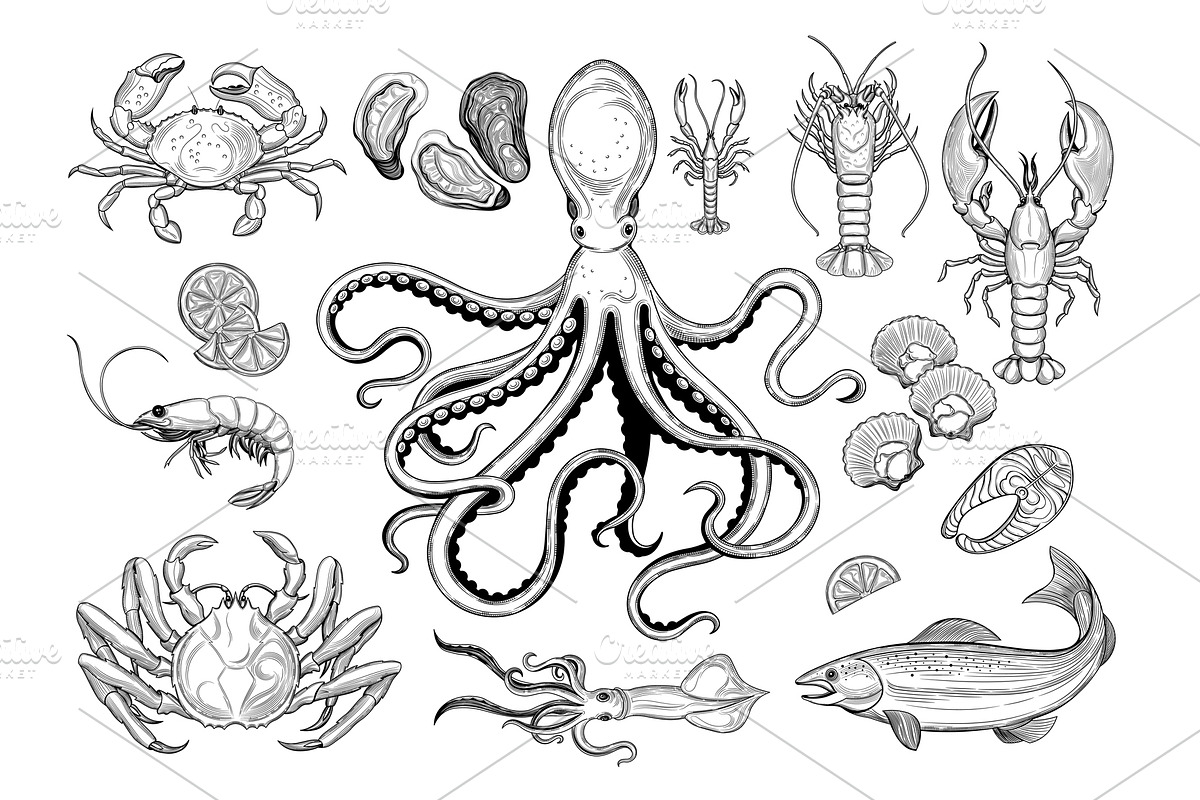Seafood, an Animal Illustration by VitalinaGofman (Photo 2 of 7)
