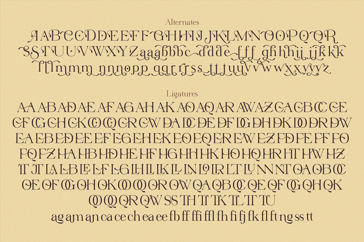 Virendra Pro - Modern Serif Font, a Serif Font by Hakara Type (Photo 9 of 15)