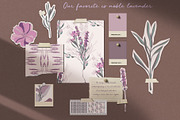 Noble lavender, a Decorative Illustration by LanaDzi (Thumbnail 2 of 10)