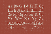 Alcemo - Hand-Drawn Vintage Serif, a Serif Font by Pandeka Studio (Thumbnail 9 of 9)