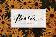 Jonatan Gilberta, a Script Font by pineungtype (Thumbnail 7 of 11)