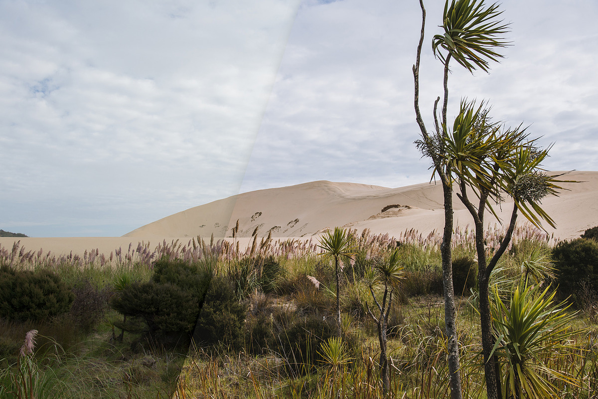 Travel & Landscape Lightroom Presets, an Action Add-On by PhotoMarket (Photo 23 of 44)