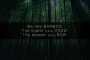 Bamboostick a Handwritten Font, a Font by Maximum Designstudio (Thumbnail 4 of 5)