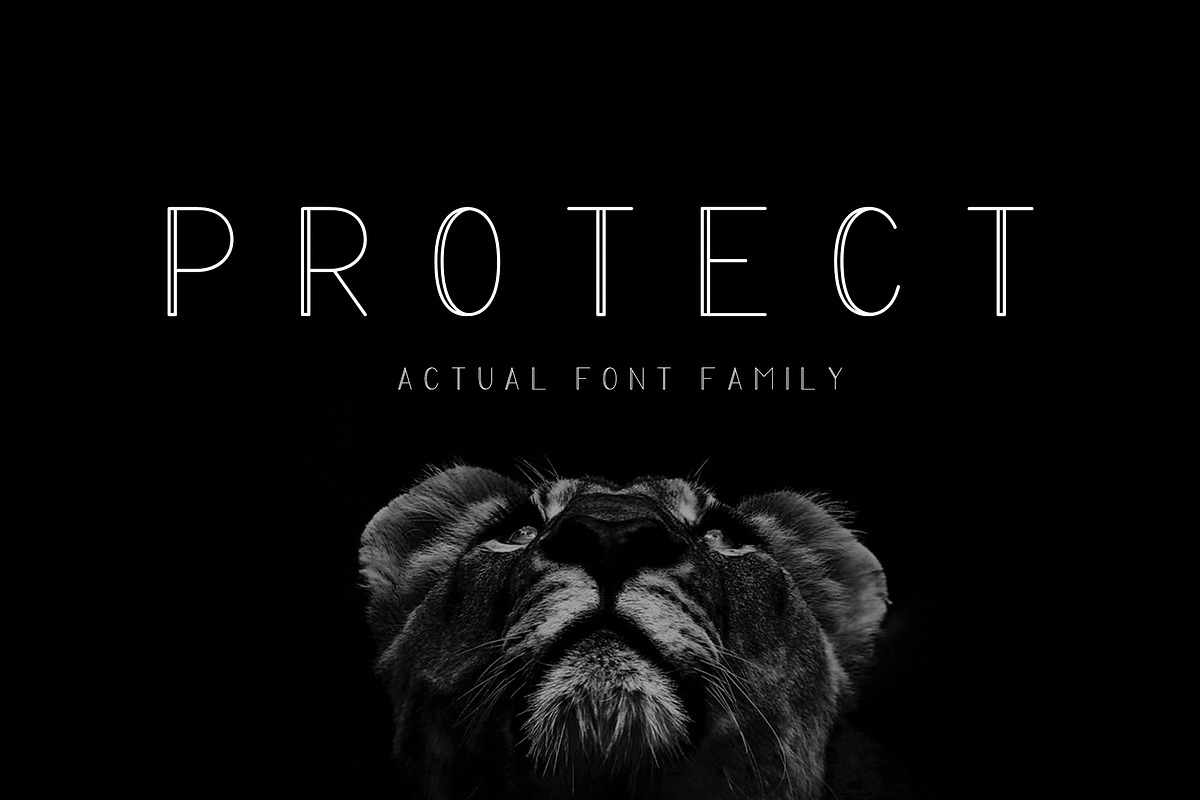 PROTECT Sans Serif Font Family