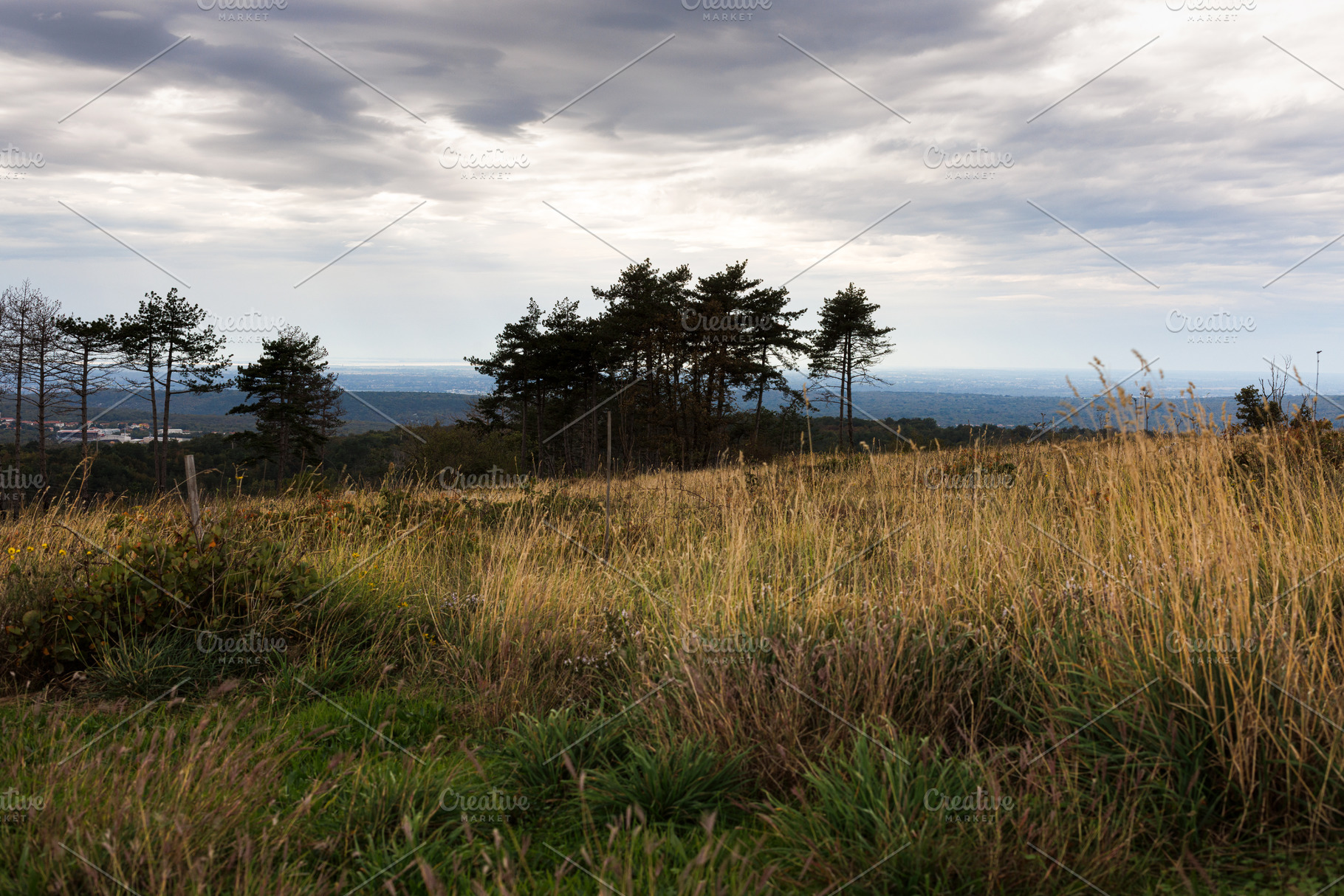Trees in the field with clouds in the sky, a Nature Photo by Bepslabor