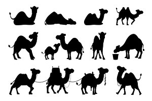 Camel black silhouettes. Isolated, an Animal Illustration by LadadikArt