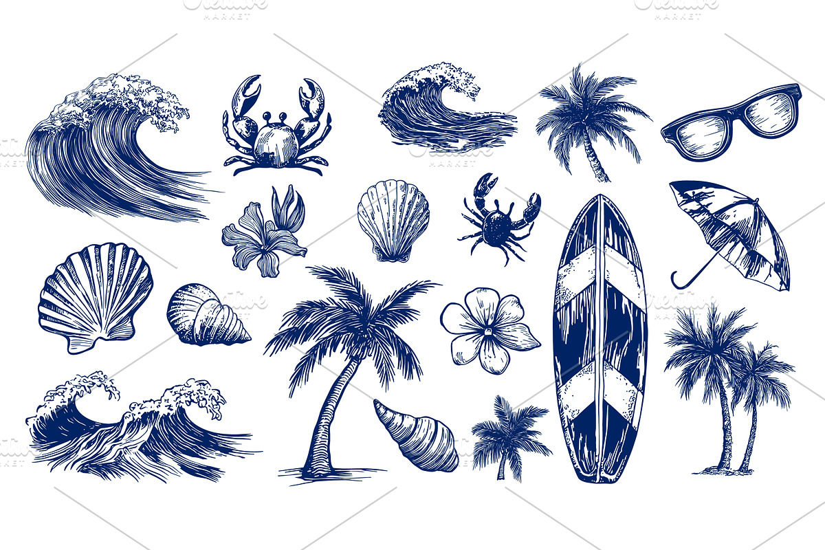 Beach drawing set. Shell palm tree, an Animal Illustration by Stock-Smart-Start