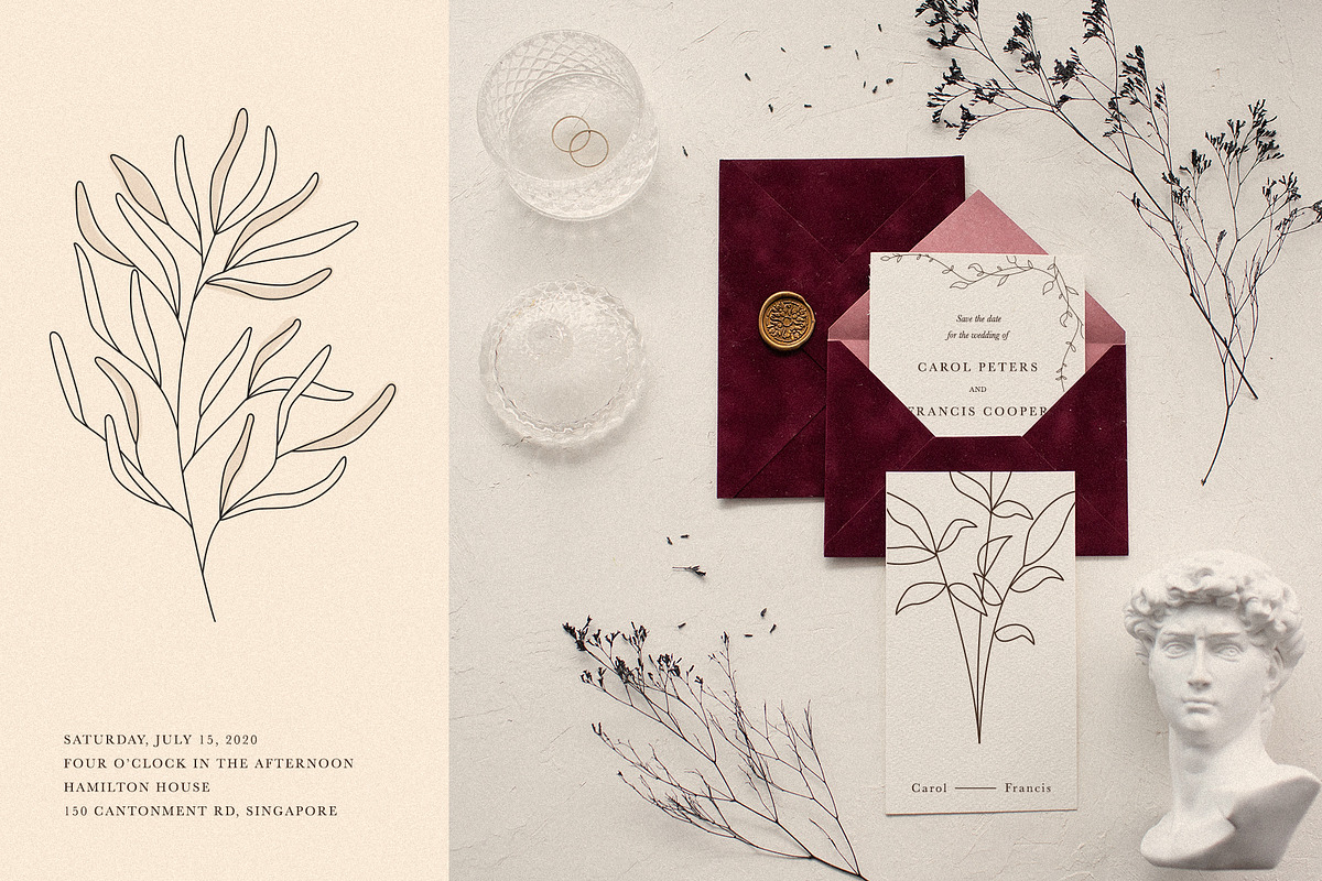 Botanical Elements for Logo Design, a Texture Illustration by amber&ink (Photo 4 of 10)