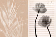 Shadow Blooms, an Object Graphic by Dina Mae (Thumbnail 10 of 10)