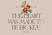 THE FRENCH KISS ROYAL TYPEFACE, a Serif Font by SilverStag Type Foundry (Thumbnail 7 of 23)