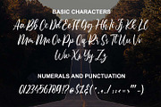 Destiney Modern Calligraphy, a Script Font by Fatmawati (Thumbnail 10 of 12)