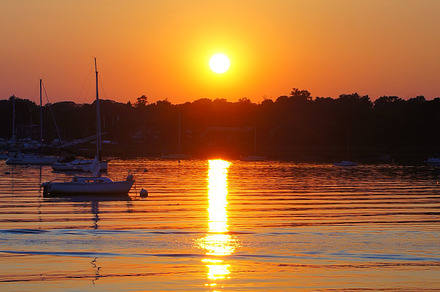 Summer At The Marina