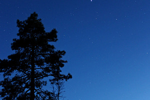 Stars at Dusk