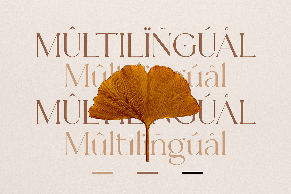 CHLARA | Modern Ligature Serif, a Sans Serif Font by Krismagraph (Photo 12 of 12)