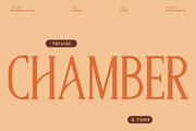 CS Allegory Drawn, a Serif Font by Craft Supply Co. (Thumbnail 2 of 8)