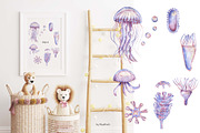 Watercolor Jellyfish Life Cycle Set, an Education Illustration by MayaNavits (Thumbnail 4 of 6)