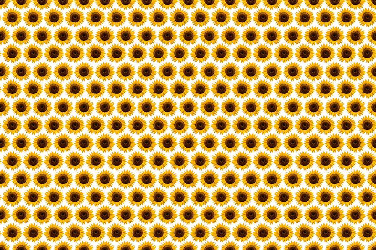 Sunflowers, a Pattern Graphic by Teuni's Dreams of Reality (Photo 3 of 3)