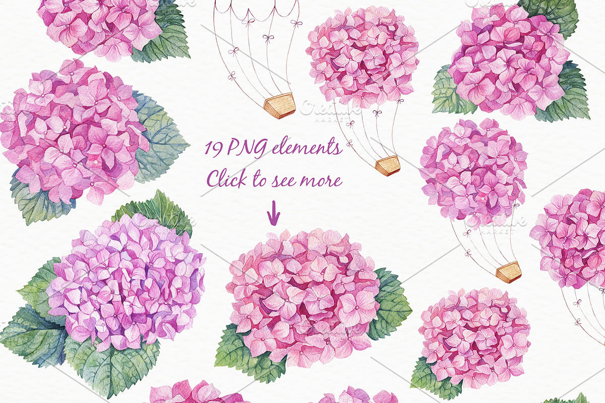 SALE! Watercolor Pink Hydrangea, an Illustration by Irina Diasli (Photo 2 of 5)