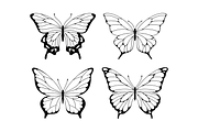 Butterflies, an Illustration by Cmeree (Thumbnail 2 of 3)