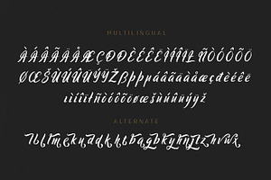 Ringtrack - Rough Brush Fonts