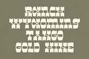 Western Sage, a Slab Serif Font by Dikas Studio (Thumbnail 2 of 10)