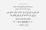 Emelina Calligraphy Scripts Font, a Script Font by Burhan Afif (Thumbnail 8 of 10)