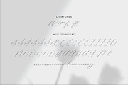 Delistian Valentine Beauty Script, a Script Font by Storytype Studio (Thumbnail 14 of 15)