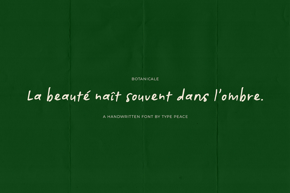 Botanicale | Handwritten Font, a Handwritten Font by type peace (Photo 14 of 18)