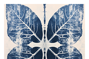 Cybo Collection · Cyanotype Botanics, a Texture Illustration by milatovar (Thumbnail 7 of 19)