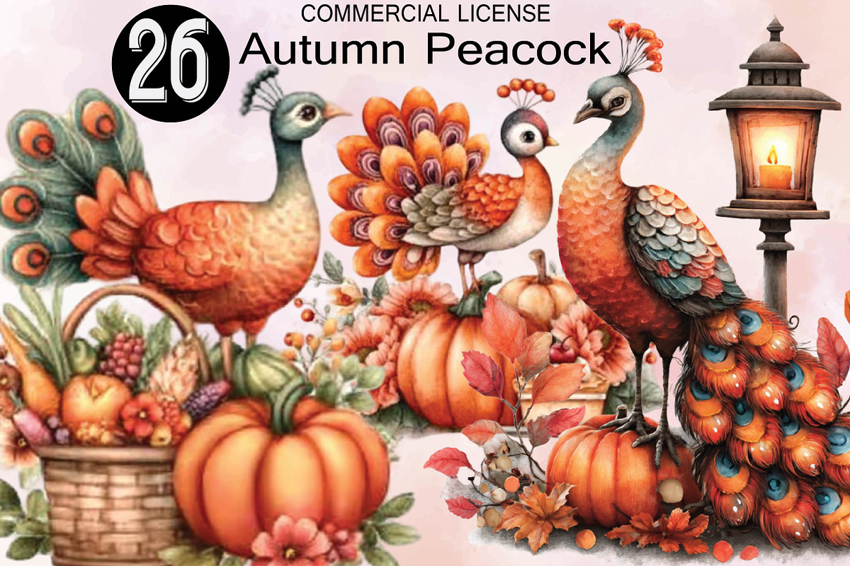 Cute Autumn Peacock Sublimation Clip, an Animal Illustration by SVGArt (Photo 1 of 9)