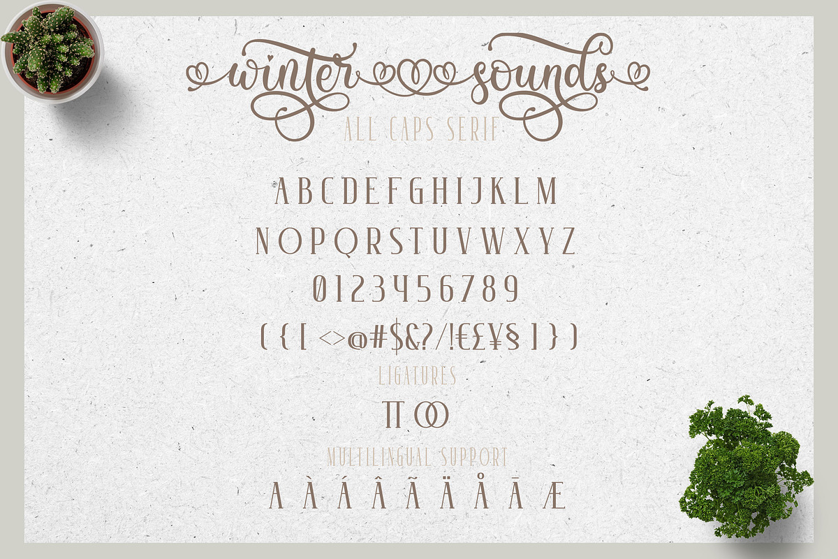 Winter Sounds | All Season Fonts, a Script Font by Almeera Std (Photo 5 of 15)