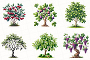 Watercolor Fruit Trees Clipart, an Illustration by OK Design (Thumbnail 3 of 5)
