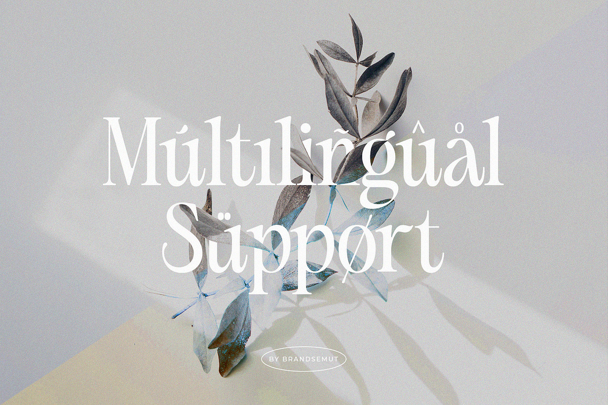 Silvena – Modern Elegant Serif Font, a Serif Font by BrandSemut (Photo 10 of 10)