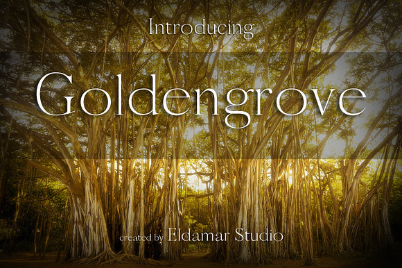 Goldengrove Font preview 4