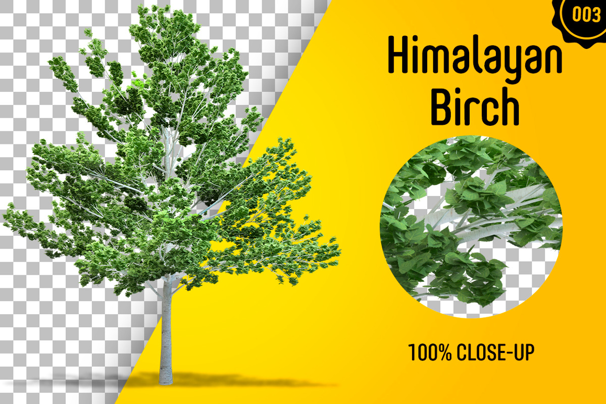 CUT OUT TREES - 60 PCS BUNDLE, a Packaging Mockup by 3DSTORE (Photo 4 of 63)