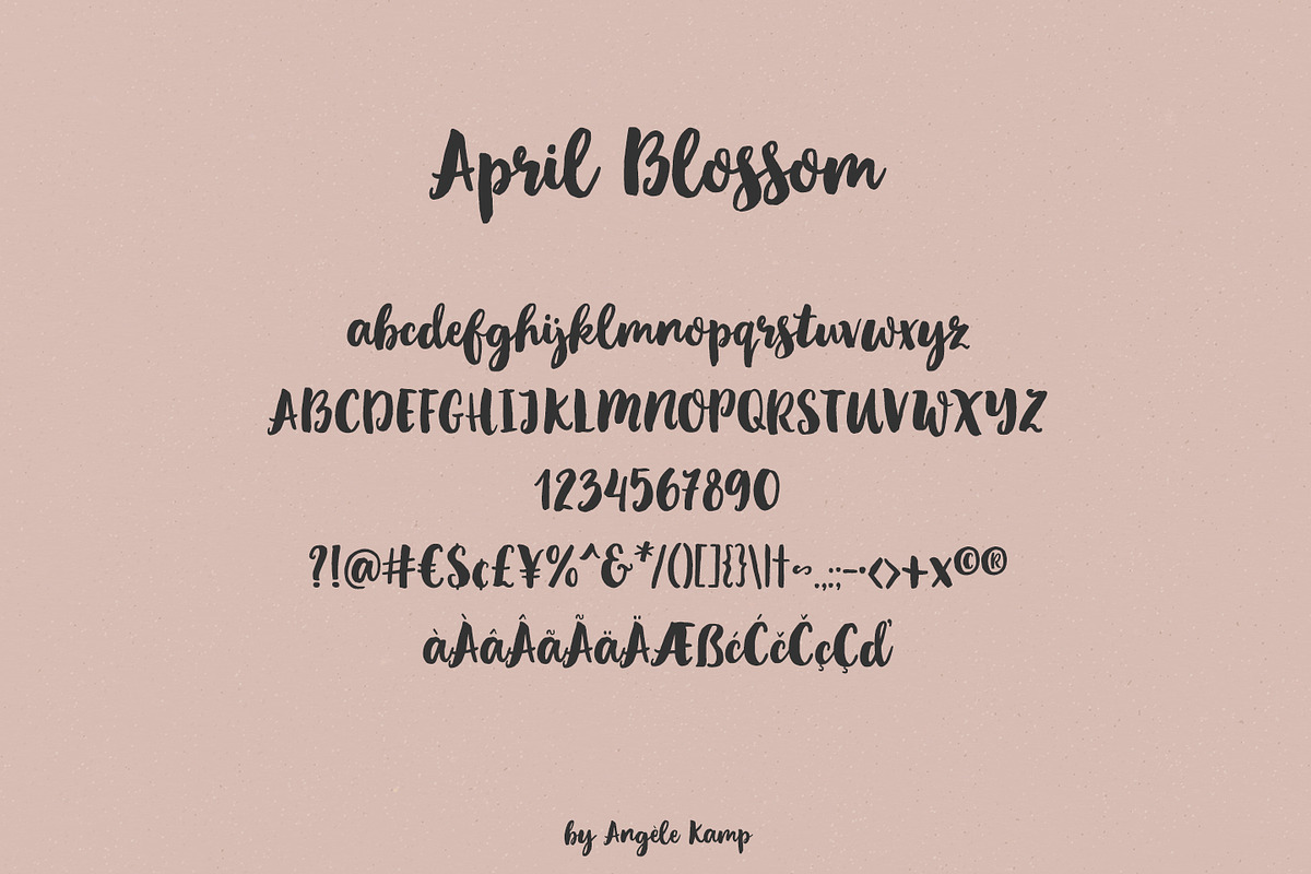 April Blossom bold brush font preview 7